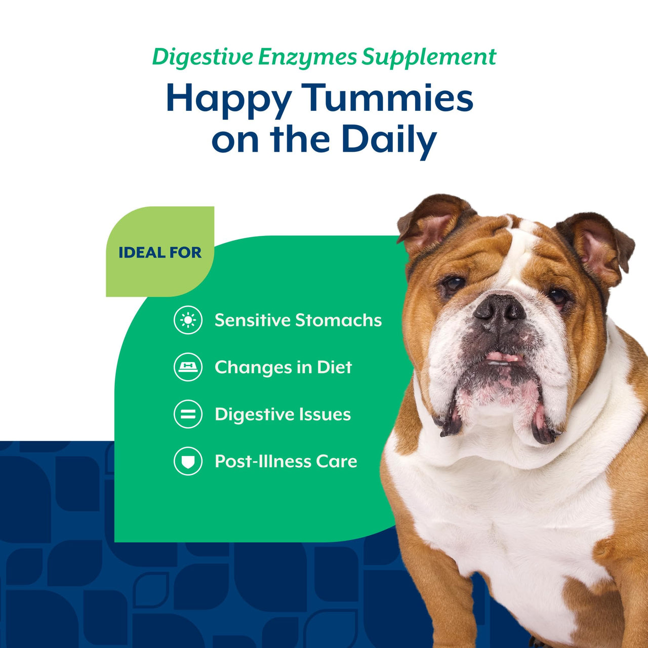 NaturVet – Digestive Enzymes - Plus Probiotics & Prebiotics – Helps Support Diet Change & A Healthy Digestive Tract – for Dogs & Cats (Soft Chews, 120 Count)