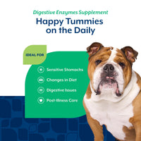 Thumbnail for NaturVet – Digestive Enzymes - Plus Probiotics & Prebiotics – Helps Support Diet Change & A Healthy Digestive Tract – for Dogs & Cats (Soft Chews, 120 Count)
