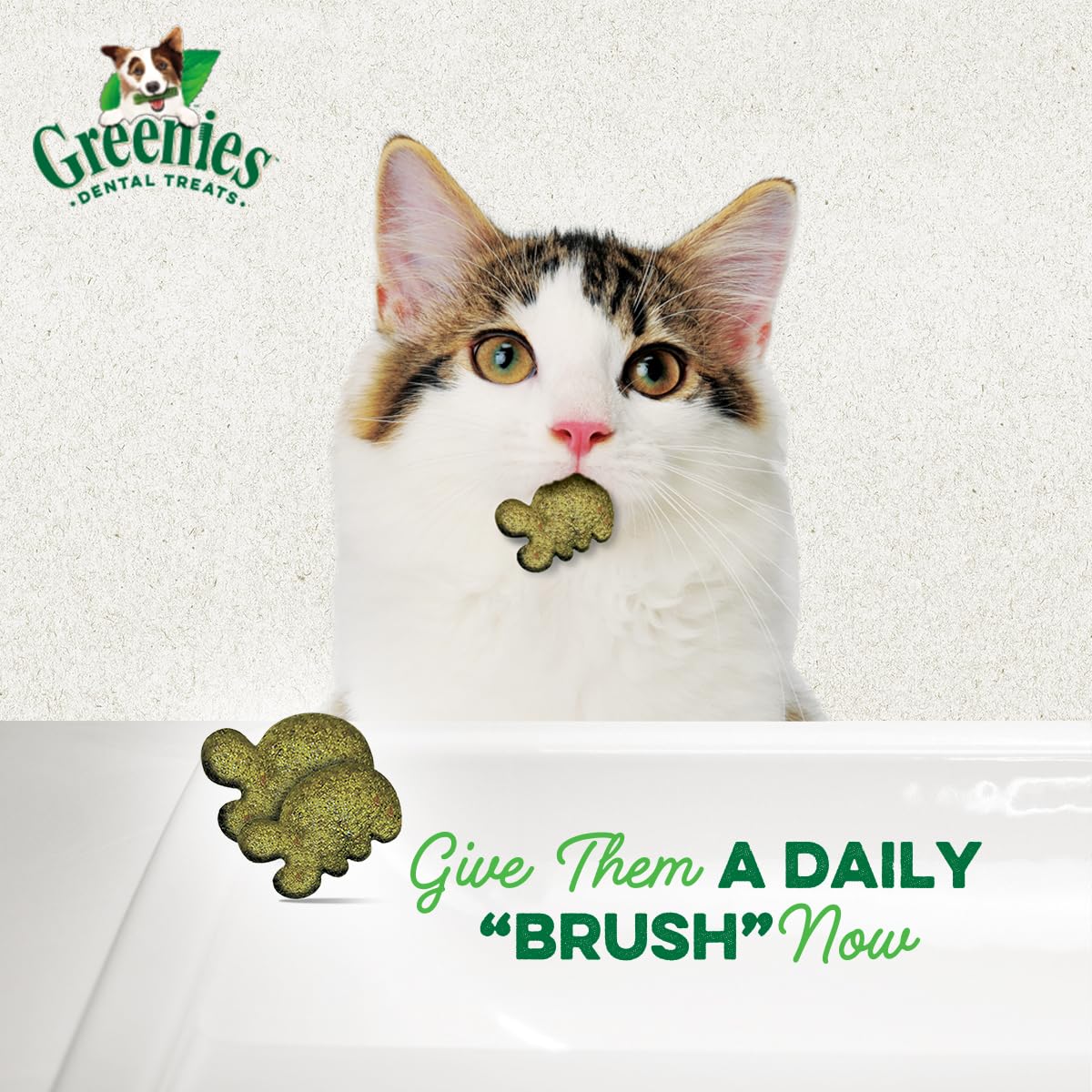 Greenies Cat Treats, Feline Veterinarian-Recommended Adult Natural Dental Treats, Catnip Flavor, 2.1 oz. Pouch