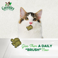 Thumbnail for Greenies Cat Treats, Feline Veterinarian-Recommended Adult Natural Dental Treats, Catnip Flavor, 2.1 oz. Pouch