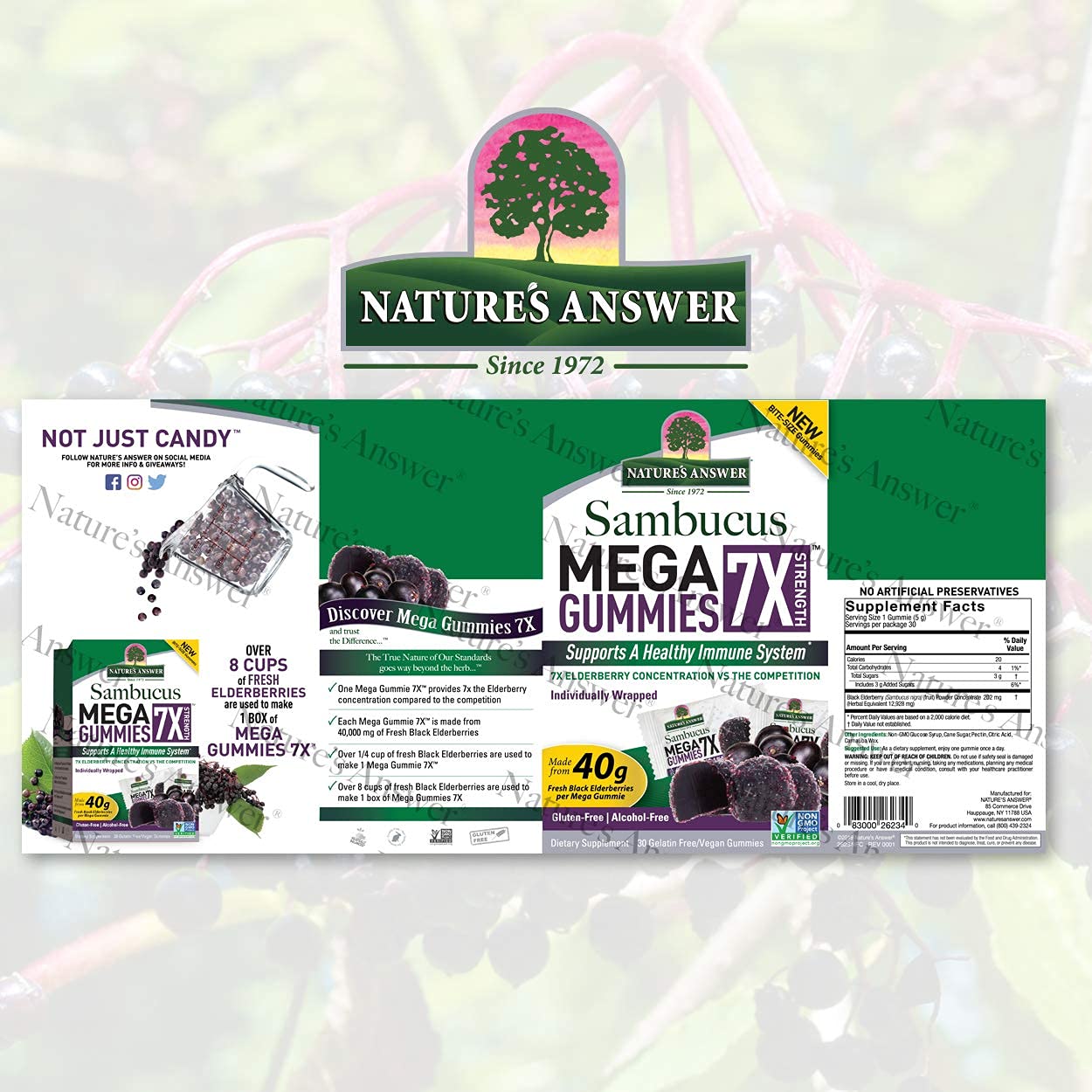 Nature's Answer Sambucus Mega Gummies | 7x More Elderberry Concentration | Alcohol-Free, Gluten-Free, Gelatin-Free, Vegan, Non-GMO & No Preservatives | 30ct Gummies