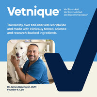 Thumbnail for Vetnique Glandex Anal Gland Soft Chew Treats with Pumpkin for Dogs Digestive Enzymes, Probiotics Fiber Supplement for Dogs Boot The Scoot (Peanut Butter Chews, 120 Count)