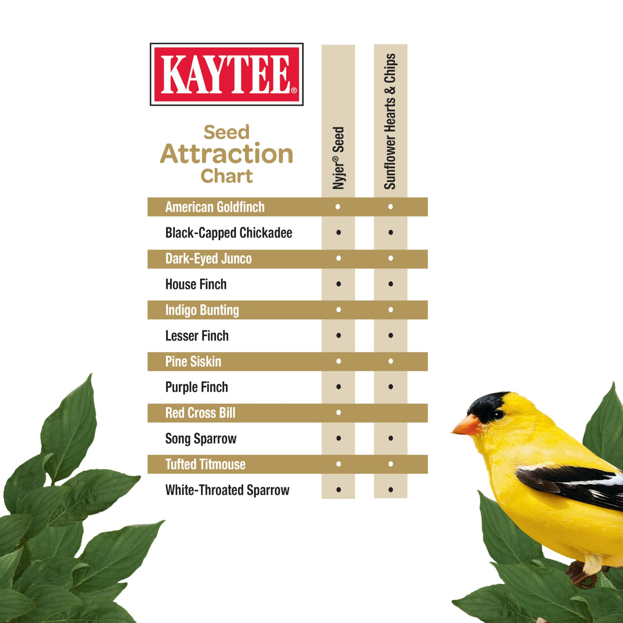 Kaytee No Mess Finch Seed and Nyjer Blend, Attracts Goldfinches, Chickadees, Junos, Finches and Other Wild Birds, 8 Pounds