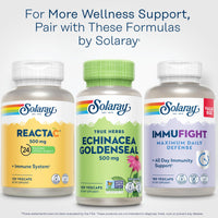 Thumbnail for SOLARAY Echinacea Root & Goldenseal Root Supplement - 500 mg per Serving, Non-GMO, Vegan & Lab Verified - 100 Count VegCaps