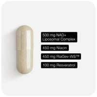 Thumbnail for Toniiq Liposomal NAD+ and Resveratrol Supplement - 1500mg Ultra High Strength NAD Supplement - Clinically Studied Ingredients with Patented RiaGev-WS™, Resveratrol, and Niacin - 60 Capsules