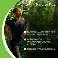 Thumbnail for NaturesPlus Chlorophyll Complex - 90 Capsules - 600 mg of Organic Alfalfa - Superfood Supplement & Antioxidant - Immune System Support, Boost Energy - Gluten Free - 45 Servings