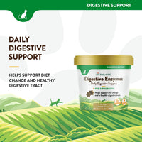 Thumbnail for NaturVet – Digestive Enzymes for Cats Plus Probiotics – 60 Soft Chews – Helps Support Diet Change & A Healthy Digestive Tract – Aids in The Absorption of Vitamins & Minerals – 30 Day Supply