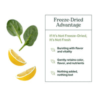 Thumbnail for Eclectic Herb - Lemon Greens Powder Supplement | Immune + Detox Support | Nutritional Support, Vitamins + Minerals | Superfood Powder + Daily Greens Drink Mix | Non-GMO, Vegan (3.2 oz | 90 g)