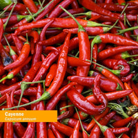 Thumbnail for Herb Pharm Certified Organic Cayenne Extract for Cardiovascular and Circulatory Support - 1 Ounce