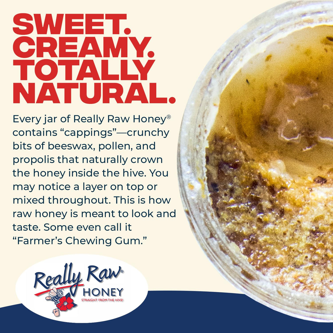 Really Raw Honey, Straight from the Hive, Never Heated or Filtered, Harvested from Small USA Family Farms, Smooth and Dense (5 Pound)