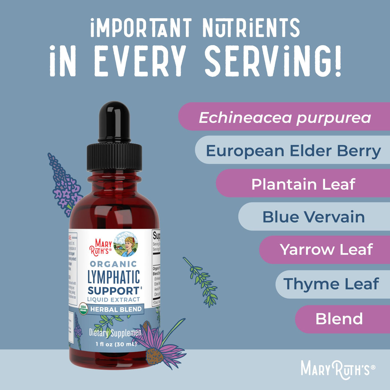 Lymphatic Support Drops by MaryRuth's | USDA Organic Lymphatic Cleanse Immune Support Supplement| Lymphatic Support with Echinacea & Elderberry | Blue Vervain | Vegan | Non-GMO | 30 Servings