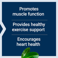 Thumbnail for Life Extension Super Carnosine, L-carnosine, Luteolin, Vitamin B1, Muscle Support, Exercise Recovery, Heart Health, Gluten-Free, Non-GMO, Vegetarian, 60 Capsules