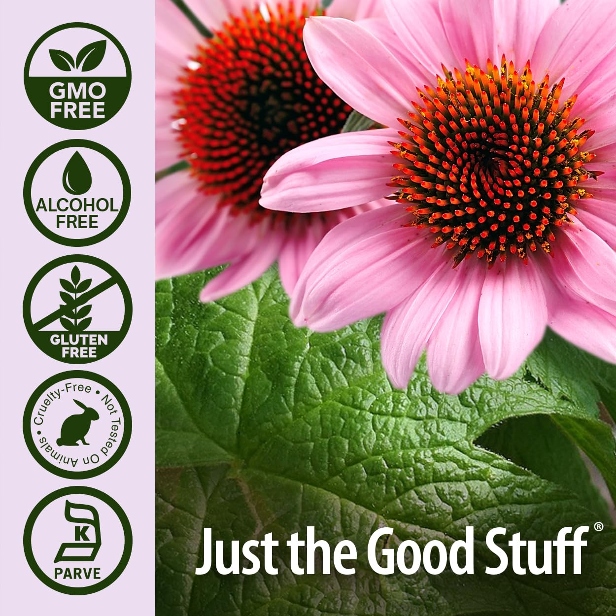 Nature's Answer Echinacea and Goldenseal | Supports a Healthy Immune System | Non-GMO, Alcohol-Free, Gluten-Free & Kosher Certified 4oz