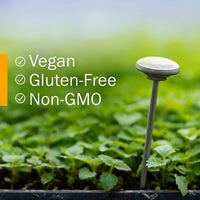 Thumbnail for Herb Pharm Certified Organic Rosemary Liquid Extract, 1 Fl Oz (Packaging May Vary)