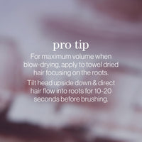 Thumbnail for Pureology Style + Protect On The Rise Root Lifting Mousse | For Flat, Color-Treated Hair | Medium Control & Volume | Sulfate-Free | Vegan | Updated Packaging | 10.4 Oz. |