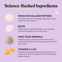 Thumbnail for Lemme Glow Collagen Gummies for Thick Hair, Strong Nails & Healthy Skin with Multi-Collagen Peptides, Biotin, Trace Minerals, Zinc, Vitamins A, C & E, Dairy & Gluten Free, Peach Flavor, 60 ct.