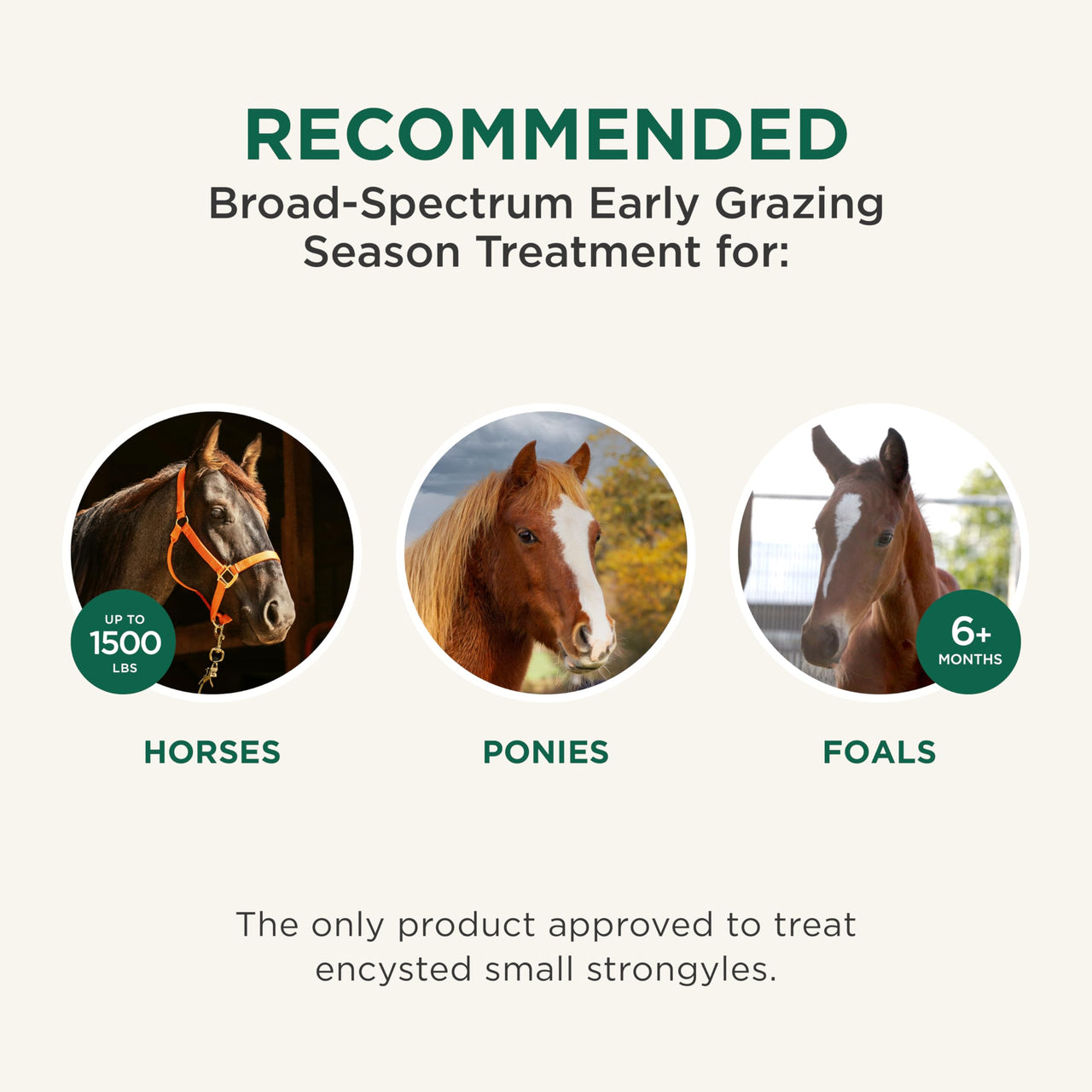Quest Gel Moxidectin Horse Dewormer, Early Grazing Season recommended for Horses and Ponies 6 months and older, 0.5oz Sure-Dial Syringe