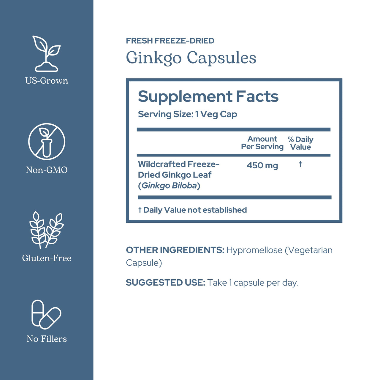 Eclectic Herb - Ginkgo Biloba Capsules | Brain Support Supplement | Cognitive Function & Circulatory Support | Focus & Memory | Vegan, Non-GMO, Gluten Free, Freeze-Dried (120 CT | 450 mg)