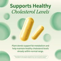 Thumbnail for Snap Supplements Cholesterol Health - Artichoke, Milk Thistle, Garlic, and Berberine Supplement with Beta Sitosterol (95% Plant Sterols) for Digestive and Metabolic Support, 60 Capsules (30 Servings)