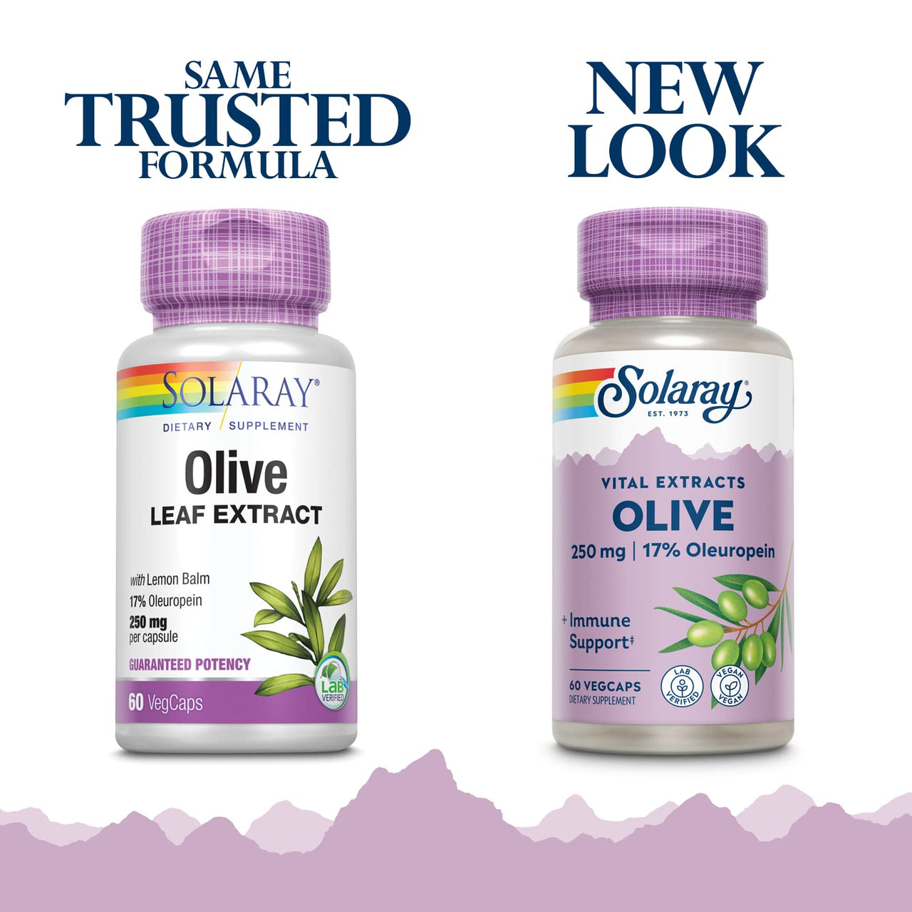 SOLARAY Olive Leaf Extract Supplement, 250mg | 60 Count