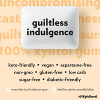 Thumbnail for XyloBurst Gum | Xylitol Chewing Gum | Sugar Free, Gluten Free, Keto Friendly | Aspartame Free Gum For Oral Health | Fruit | 100-Count Jar