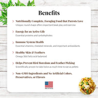 Thumbnail for LAFEBER'S Garden Veggie Nutri-Berries Pet Bird Food, Made with Non-GMO and Human-Grade Ingredients, for Parrots, 3 lb