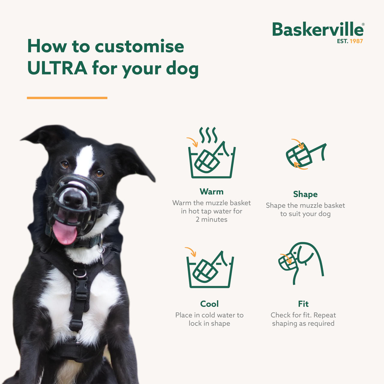 Baskerville ULTRA Muzzle - Patented Humane Design, Breathable, Dog can Pant and Drink, Adjustable, Padded, Dog Training Muzzle for Large Dogs, Prevents Biting, Wildlife Scavenging (Size 6, Black)