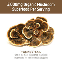Thumbnail for Om Mushroom Superfood Turkey Tail Organic Mushroom Powder, 3.5 Ounce, 50 Servings, Immune Support, Polysacchrides, Beta-Glucans, Gut Health & Holistic Defense Mushroom Supplement