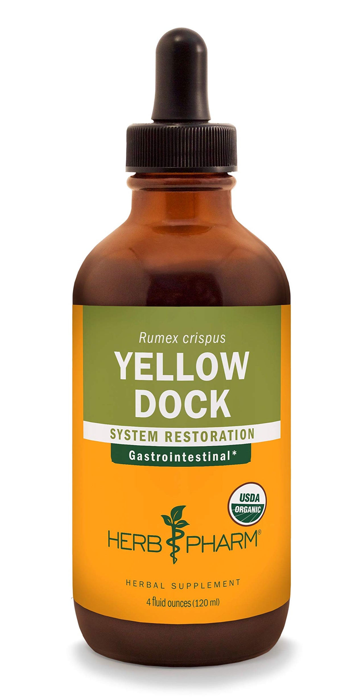 Herb Pharm Yellow Dock Liquid Extract for Digestive System Support - 4 Ounce