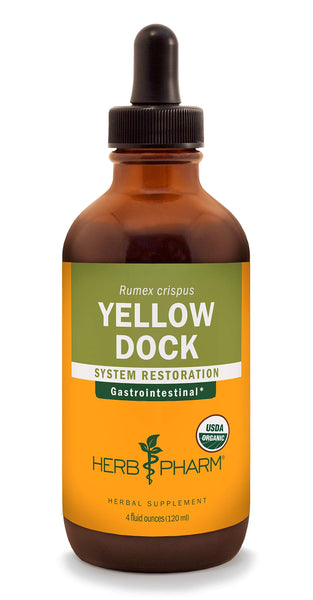 Herb Pharm Yellow Dock Liquid Extract for Digestive System Support - 4 Ounce