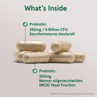 Thumbnail for Jarrow Formulas Saccharomyces Boulardii + MOS Probiotics for Digestive Health and Intestinal Tract Support - 5 Billion CFU Per Serving - 90 Delayed Release Caps - Probiotic + Prebiotic - 90 Servings