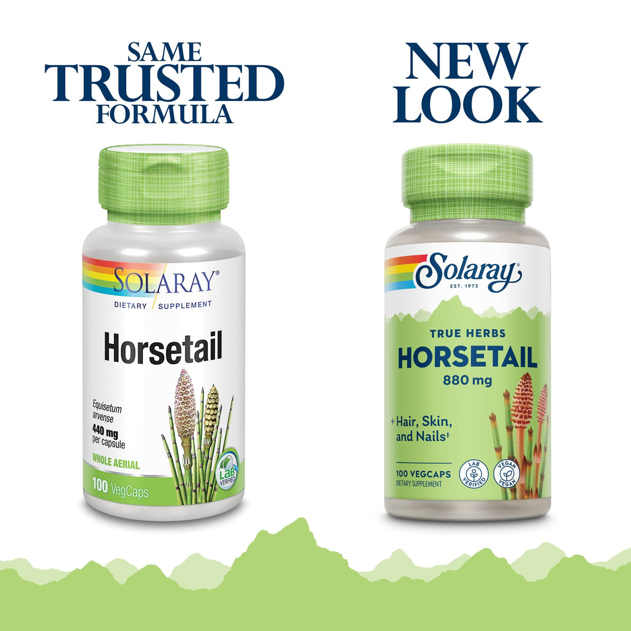 Solaray - Horsetail Shavegrass, 440 mg, 100 capsules