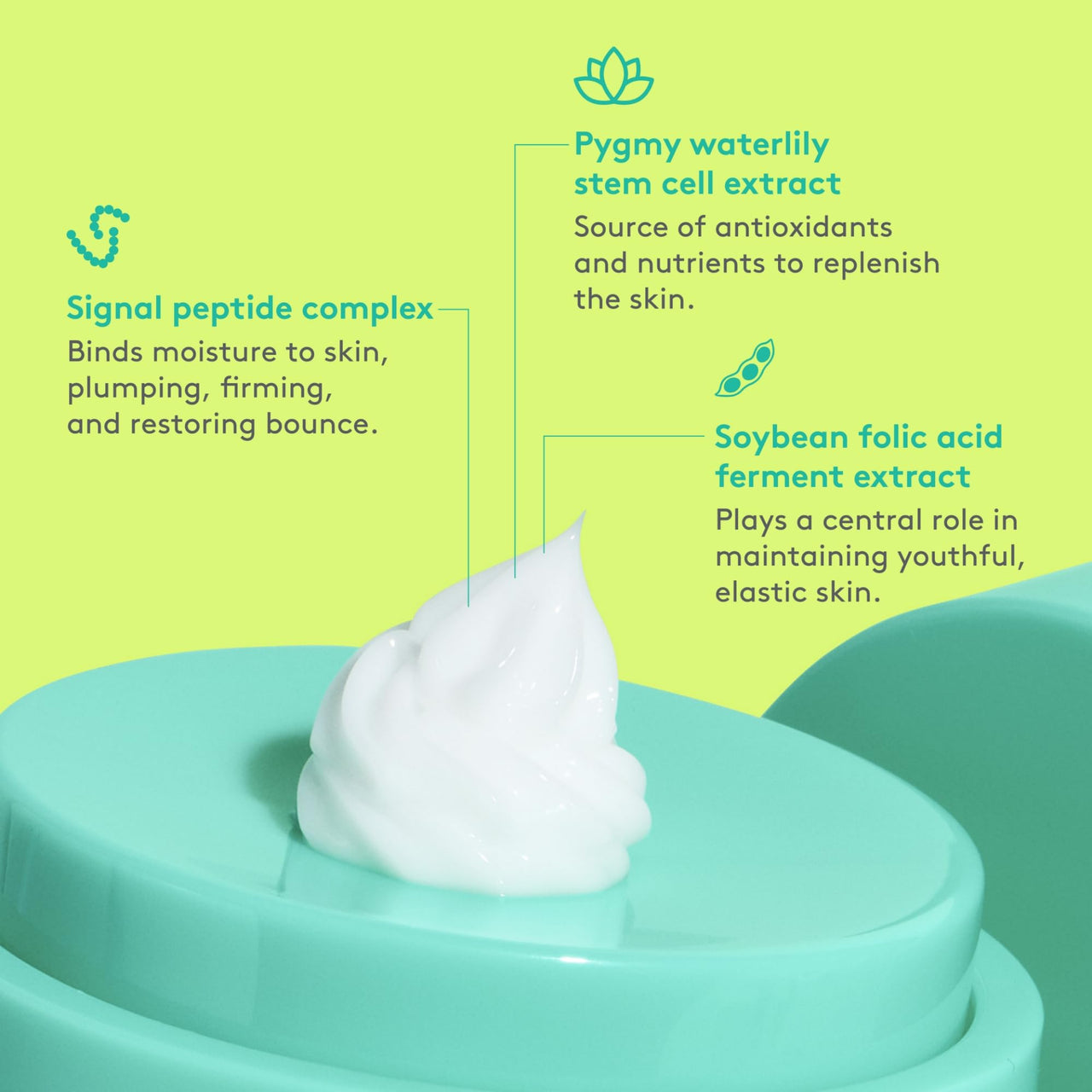 Drunk Elephant Protini Polypeptide Cream - 50 ml/1.69 fl oz - Firming Moisturizer - Clean Clinical Skincare - Cruelty-Free - Dermatologist-Tested - Includes B-Goldi Deluxe Sample (3 ml/ .10 fl oz)