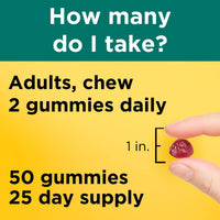 Thumbnail for Nature Made Digestive Probiotics and Energy B12 Gummies, Probiotics for Women and Men, 50 Probiotic Gummies, 25 Day Supply