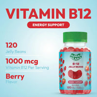 Thumbnail for Human Beanz Methylated Vitamin B12, Jelly Bean Gummies for Adults, Brain Health and Energy Booster, Healthy Hair, Skin, and Nails, Nutritional Vegetarian Supplements, 120 Jelly Beans