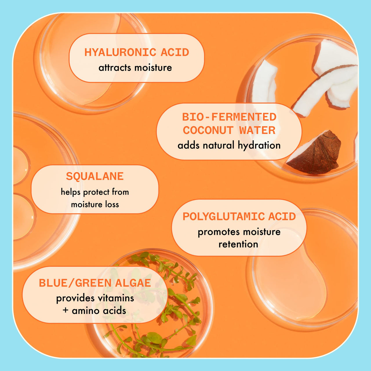 amika Hydro Rush Intense Moisture Leave-In Conditioner with Hyaluronic Acid, 200ml | for all hair types, long-lasting hydration, detangles and reduces frizz