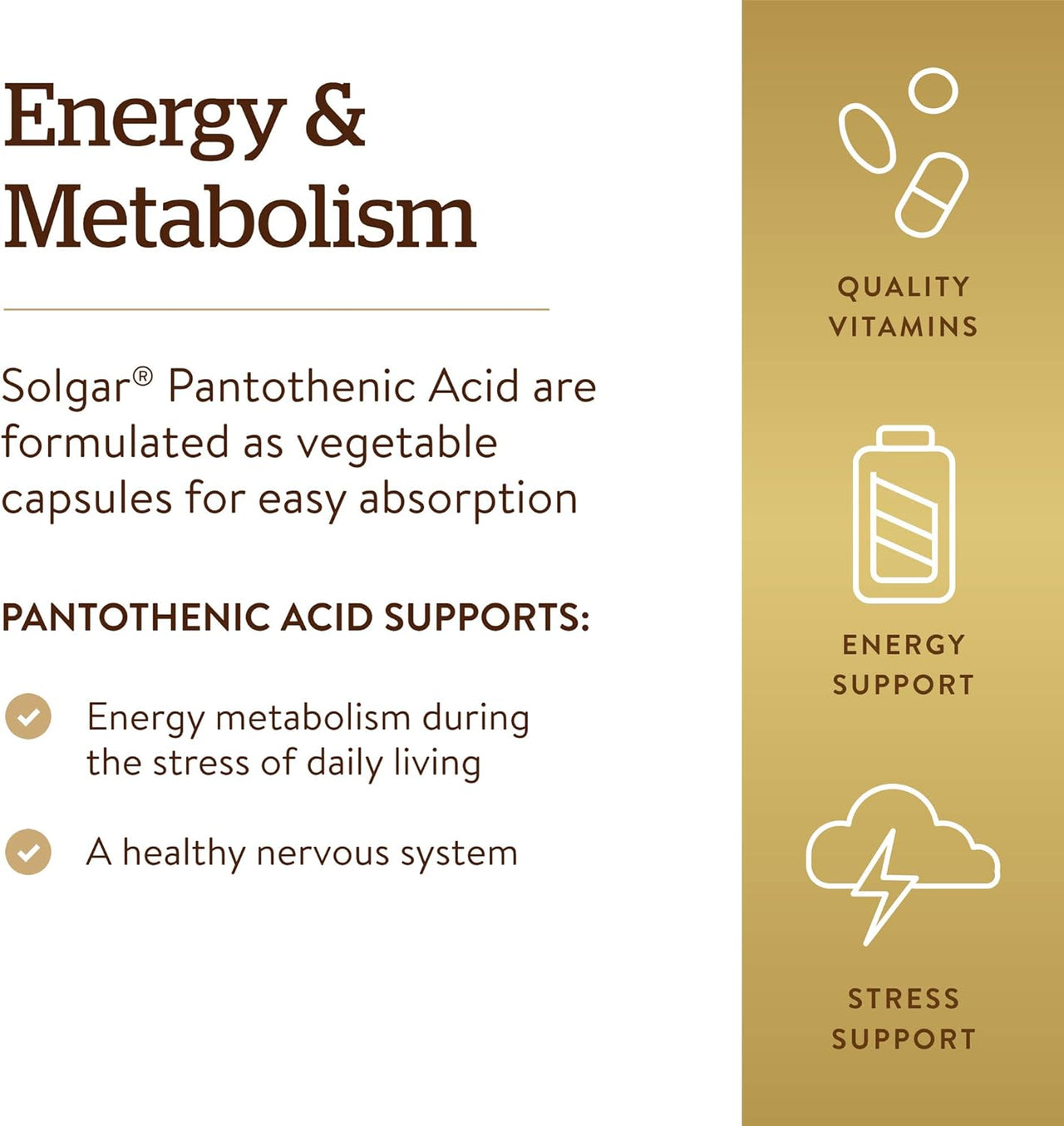 Solgar Pantothenic Acid 550 mg Vegetable Capsules