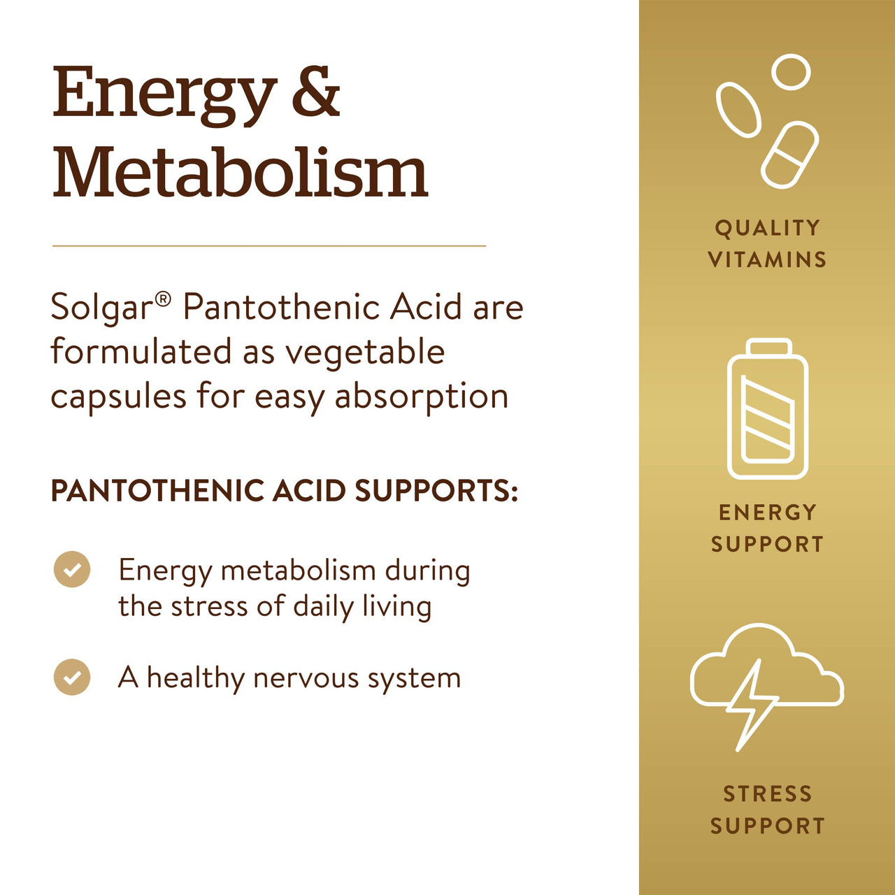 Solgar Pantothenic Acid 550 mg Vegetable Capsules Vitamin B5 Energy Metabolism Nervous System Support Gluten Free Dairy Free Kosher Servings, Standard Packaging, 100 Count