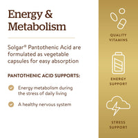Thumbnail for Solgar Pantothenic Acid 550 mg Vegetable Capsules Vitamin B5 Energy Metabolism Nervous System Support Gluten Free Dairy Free Kosher Servings, Standard Packaging, 100 Count