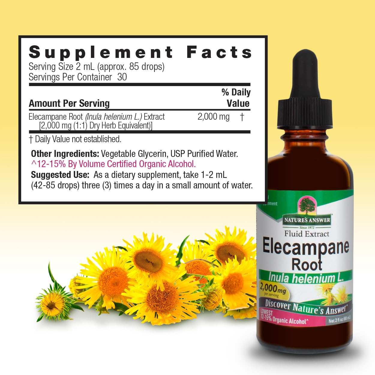Nature's Answer Elecampane Root 2 oz. Low Organic Alcohol 2000mg - Herbal Supplement - Non GMO & Kosher - Low Alcohol Gluten Free 100% Vegan - 2 FL Oz