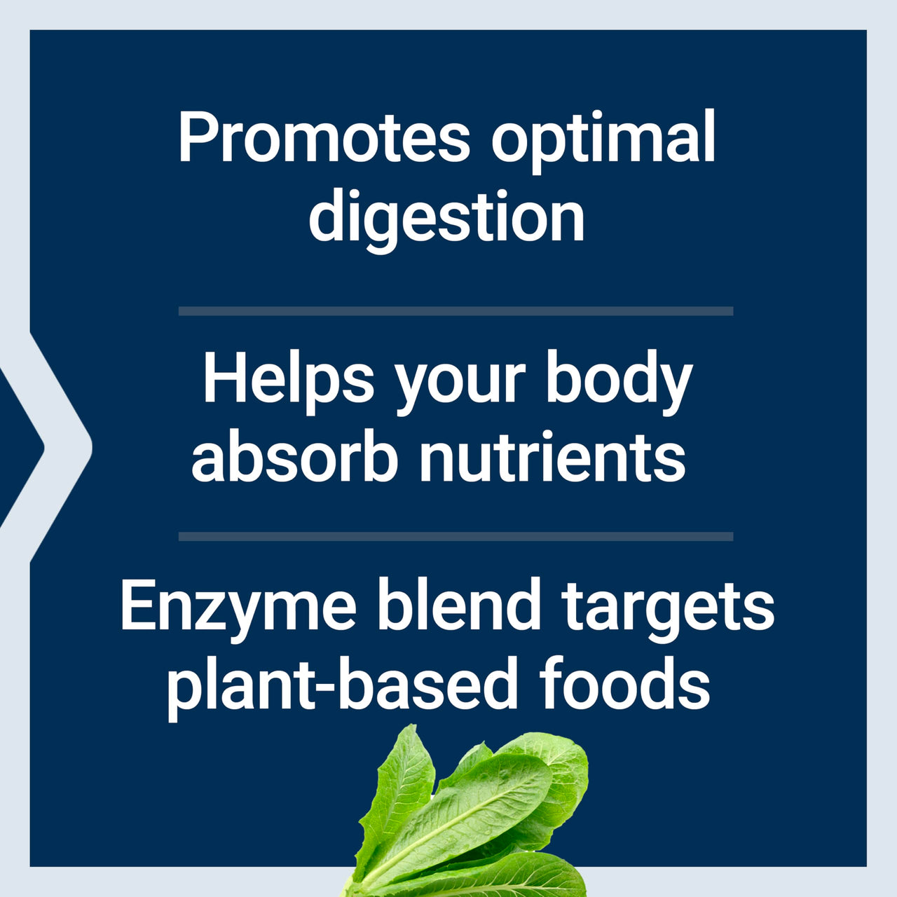 Life Extension Enhanced Super Digestive Enzymes and Probiotics – B. coagulans Probiotic, 10 Digestive Enzymes – Supports Digestion, Comfort & GI Balance – Non-GMO, Vegetarian – 60 Capsules