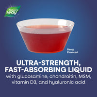 Thumbnail for Nature's Way Joint Movement Glucosamine Fast Absorbing, 16 day supply, 16 Ounces (480 mL), Natural Berry (Packaging May Vary)