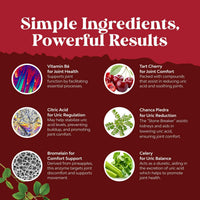 Thumbnail for Green Coffee Bean Extract for Uric Acid Cleanse & Detox - Green Coffee Beans with Turmeric, Tart Cherry & Celery Seed for Adults - Daily Uric Acid Flush for Joints Support & Kidney Cleanser – 120 Ct