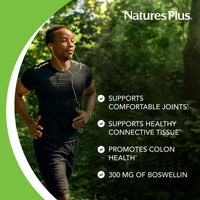 Thumbnail for NaturesPlus Herbal Actives Boswellin - 60 Capsules - Promotes Healthy Connective Tissue & Joint Comfort - Vegetarian, Gluten Free - 60 Servings
