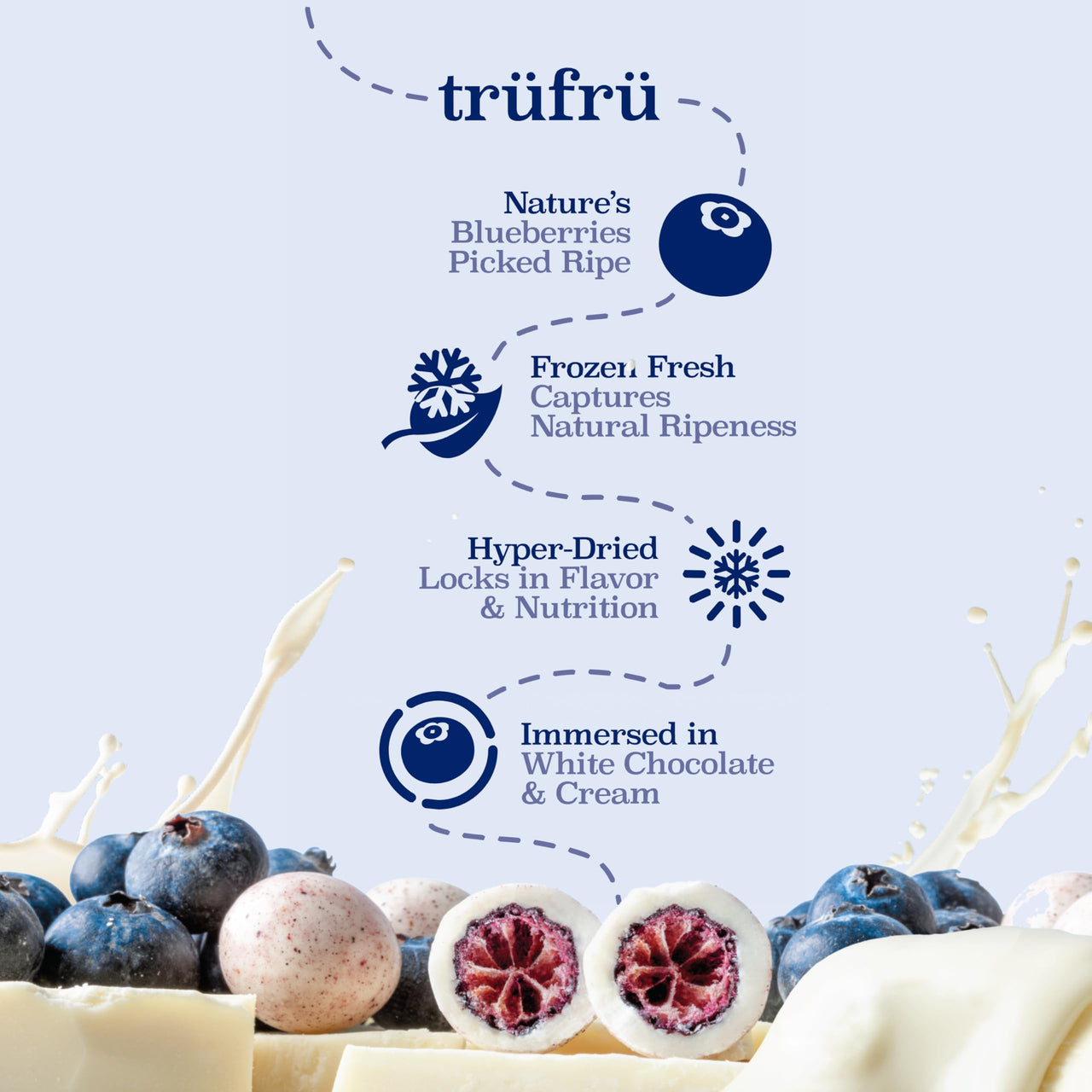 Tru Fru Nature's Blueberries Hyper-Dried in Crème, Premium Gourmet Freeze Dried Snack, 4.2 oz