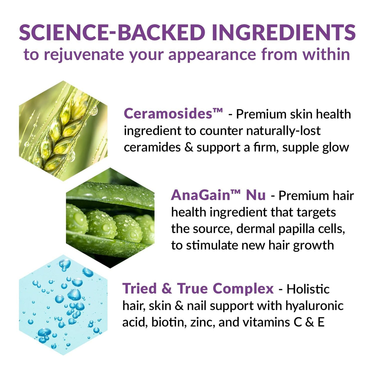 BioTrust Timeless Beauty Ceramide Booster - Hair & Skin Restoring Phytoceramides Supplement + Vitamin C, Vitamin E, Biotin, Zinc, Hyaluronic Acid - Potent Blend for Hair, Skin & Nails - 30 Capsules
