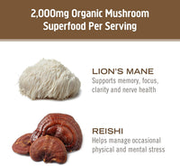 Thumbnail for OM MUSHROOM SUPERFOOD Brain Fuel Mushroom Powder Capsules Superfood Supplement, 90 Count, 30 Days, Lion's Mane, Reishi Blend Plus Folate, Mental Clarity, Mushroom Supplement