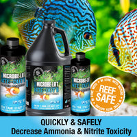 Thumbnail for MICROBE-LIFT Nite-Out II Aquarium Bacteria for Start-up, Instantly Cycle Aquariums, Add Fish on Day 1, Rapid Ammonia and Nitrite Reducer for Freshwater & Saltwater Fish Tank, 8 Ounces (NITEH08)