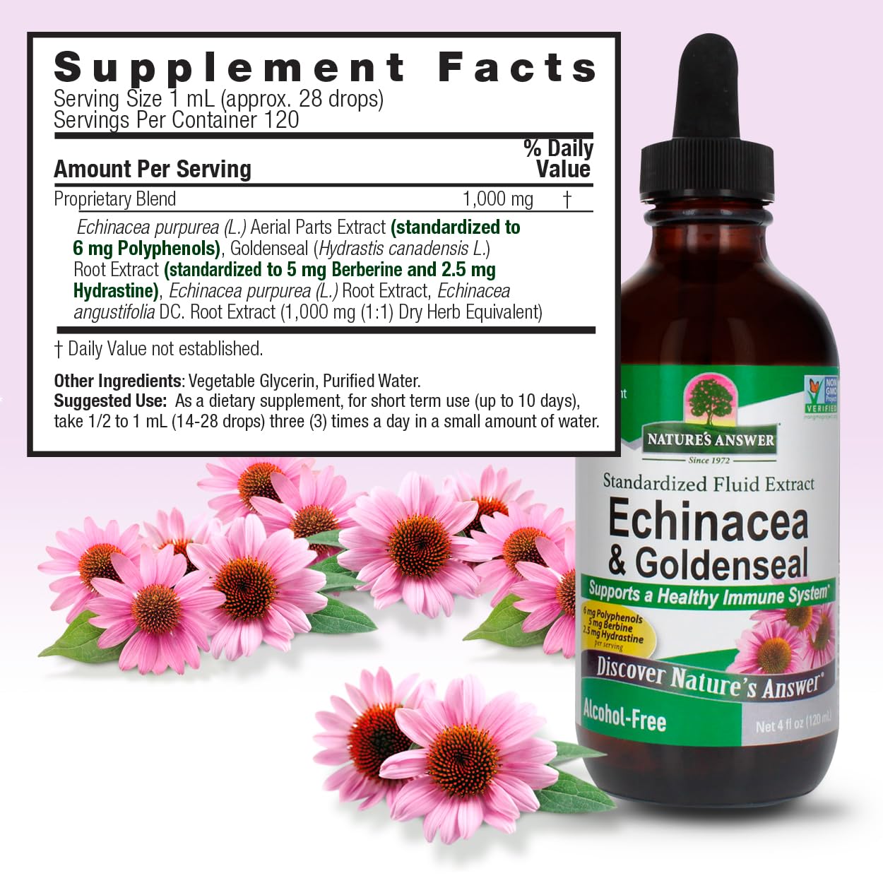 Nature's Answer Echinacea and Goldenseal | Supports a Healthy Immune System | Non-GMO, Alcohol-Free, Gluten-Free & Kosher Certified 4oz