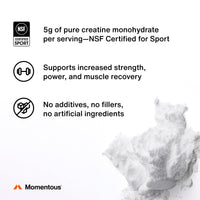 Thumbnail for Momentous Creatine Monohydrate Powder - Creatine Powder - Supports Strength, Lean Muscle, & Recovery for Men & Women - NSF Certified for Sport - 5 g per Serving - 90 Servings